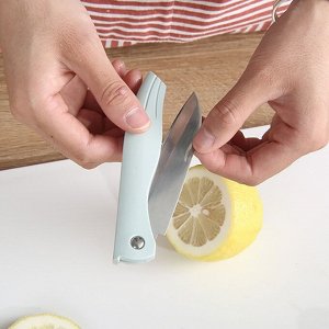 Нож кухонный складной 2*21см