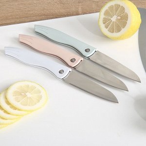 Нож кухонный складной 2*21 см