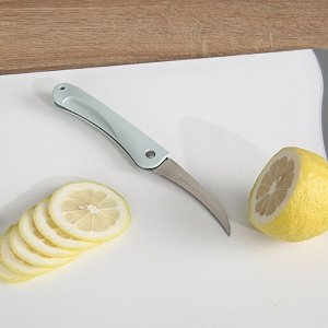 Нож кухонный складной 2.5*19см