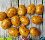 Декоративный Картофель