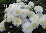 71 Снегурочка