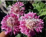 82 Улыбка
