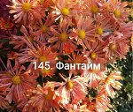 145 Фантайм