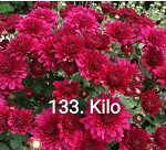133 Kilo