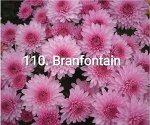 110 Branfontain