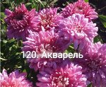 Акварель