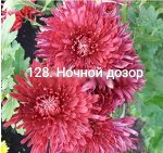 128 Ночной Дозор