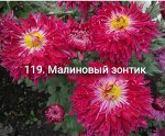119 Малиновый Зонтик