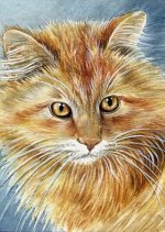 Алмазная мозаика картина стразами Рыжий котик, 30х40 см,