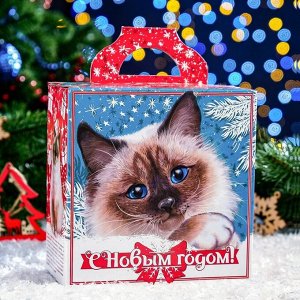 Новогодний подарок "Домашние кошки бирюзовая", 260 г
