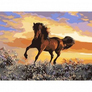 Картина по номерам на холсте «Грациозный бег коня», 40х30 см