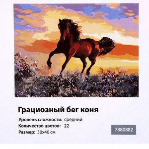 Картина по номерам на холсте «Грациозный бег коня», 40х30 см