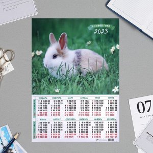 Календарь листовой А2 "Символ года - 6" 2023 год, 42х59см