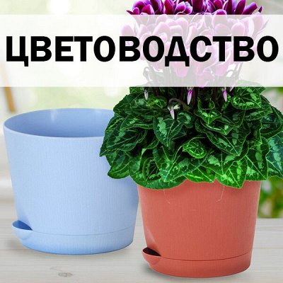 ХЛОПОТУН: российская посуда — Цветоводство