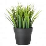 IKEA / FEJKA ФЕЙКА | Искусственное растение в горшке, д/дома/улицы трава | 9 см