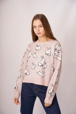 Свитер  Dilvin 10250