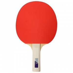 Ракетка для настольного тенниса BOSHIKA Beginner 1*, для любителей, губка 1,5 мм, прямая ручка