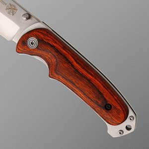 Нож складной Stinger, 9 см, лезвие - 3Cr13, рукоять - дерево