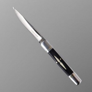Нож складной "Горностай" сталь - 420, рукоять - сталь/дерево, клинок - 8 см