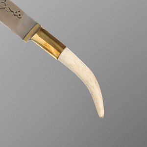 Нож Пчак Шархон - Чирчик, касуля мини, гарда латунь, шахрихан гравировка. 95х18 (10-12 см)