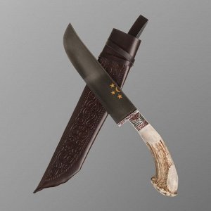 Нож Пчак Шархон - Большой, Косуля натуральная средняя, гарда гравировка, олово. ШХ-15 (16-17