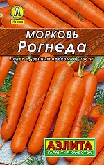 Морковь Рогнеда
