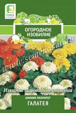 Цинния лиллипут Галатея (Огородное изобилие) (&quot;1) 0,4гр