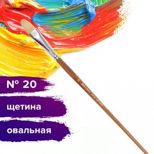 Кисть художественная профессиональная BRAUBERG ART CLASSIC, щетина, овальная, № 20, длинная ручка, 200736