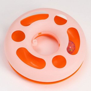 Игрушка для кошек "Загадочный круг" с дразнилкой и шариком, 24 х 24 х 7 см, оранжевая/белая   791613