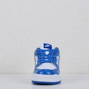 Кроссовки Nike Dunk Low Disrupt Blue арт 5504-5
