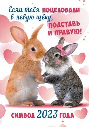 Карманный календарь на 2023 год "Символ года - Кролик"