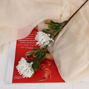 Цветы искусственные "Астра пышная" 7х55 см, белый