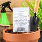 Семена Свекла &quot;Цилиндра&quot;, бп, 2 г