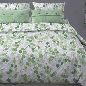 Доляна Постельное бельё 1,5 сп Эвкалипт, зелёный, 150х210 см, 150х210 см, 70х70 см, бязь, 105 г/м, 100% хлопок