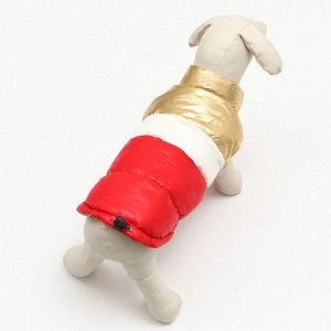 СИМА-ЛЕНД Куртка для собак с утяжкой размер 10 (ДС 25, ОГ 34,ОШ 24), золото-красная