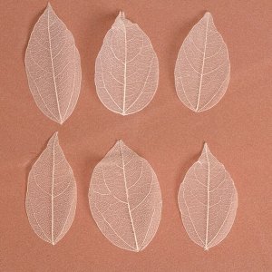 Сухие листья, (набор 5 шт), размер 1 шт:: 85 см, цвет белый