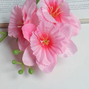 Цветы искусственные «Дельфиниум волнистый», 7.5x82 см, розовые