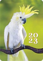Карманный календарь на 2023 год &quot;Домашние любимцы&quot;