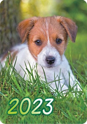 Карманный календарь на 2023 год "Собаки"