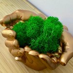 Мох натуральный стабилизированый ягель для Рук Давида