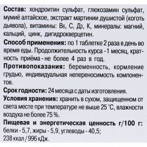 Концентрат №9 Хондроитин + Глюкозамин с дигидрокверцетином, 60 капсул по 700 мг