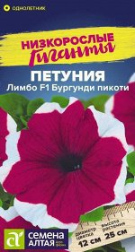 Петуния Лимбо Бургунди пикоти F1/Сем Алт/цп 10 шт. Низкорослые гиганты НОВИНКА