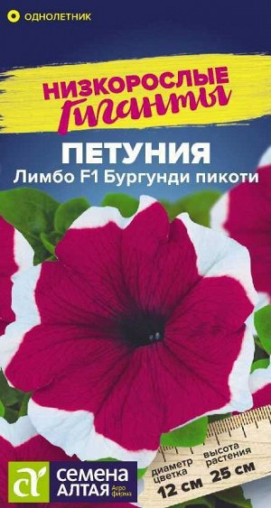 Цветы Петуния Лимбо Бургунди пикоти F1/Сем Алт/цп 10 шт. Низкорослые гиганты НОВИНКА