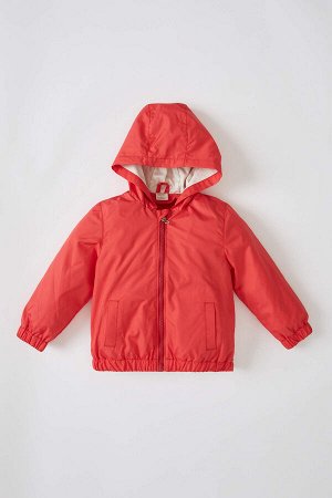 Сезонное тонкое пальто с капюшоном из чесаного хлопка с капюшоном для маленьких мальчиков