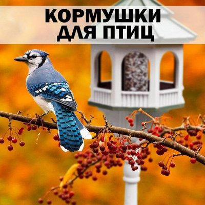 ХЛОПОТУН: METROT — сербская эмаль — Кормушки для птиц