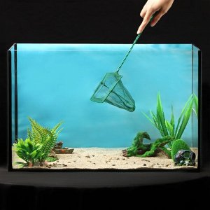 Сачок аквариумный 12,5 см, зелёный