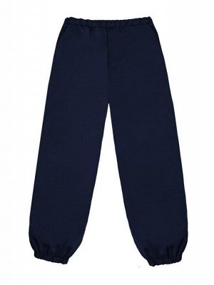 Теплые синие брюки для мальчика Цвет: синий