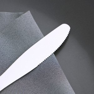 Нож столовый «Нордик», 20,2 см, толщина 2 мм, цвет серебряный