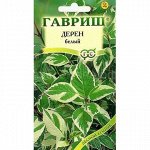 Дерен белый Карантус (Гавр)