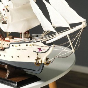 Сувенирная модель корабля «Витязь», 79x55 см